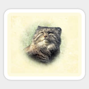 Manul Sticker